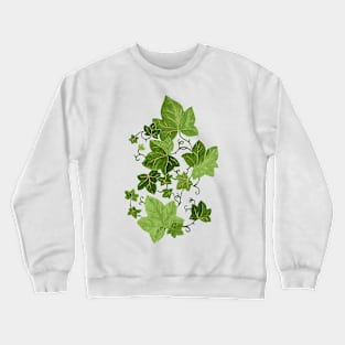 Winter Green Crewneck Sweatshirt